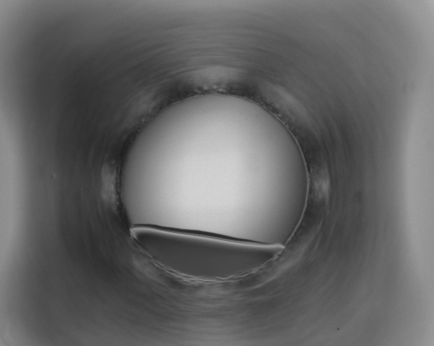 X0000114061060200910050951