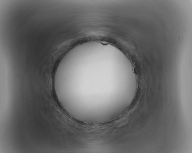 X0000114061061200910050951