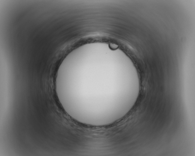 X0000114061062200910050951