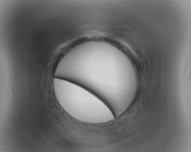 X0000114061063200910050951