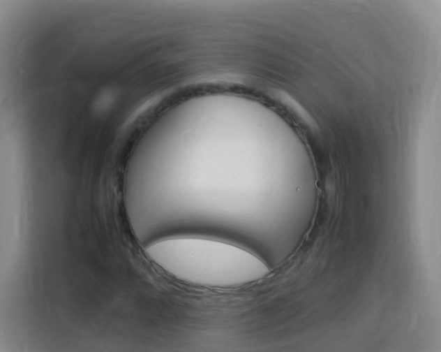 X0000114061064200910050951