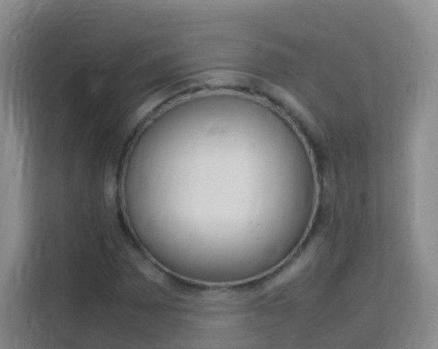 X0000114061065200910050951