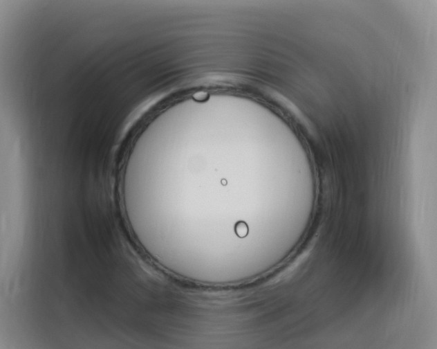 X0000114061066200910050951