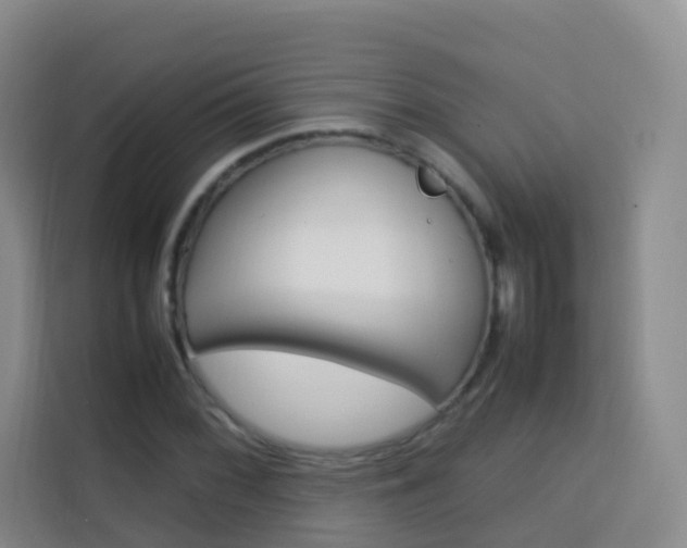 X0000114061068200910050951