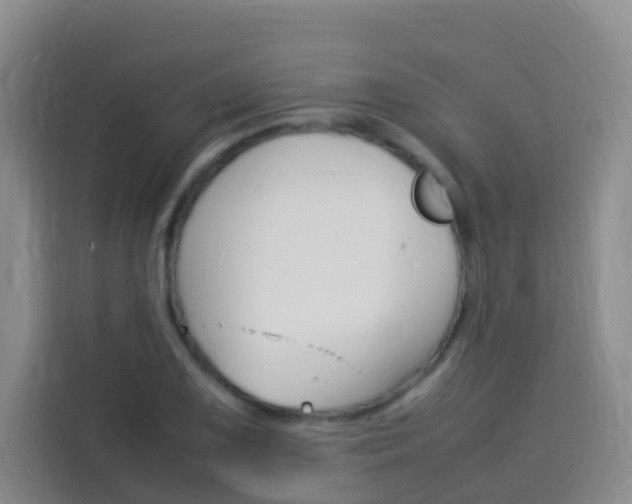 X0000114061075200910050951