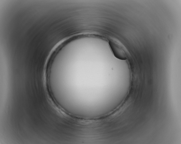 X0000114061076200910050951