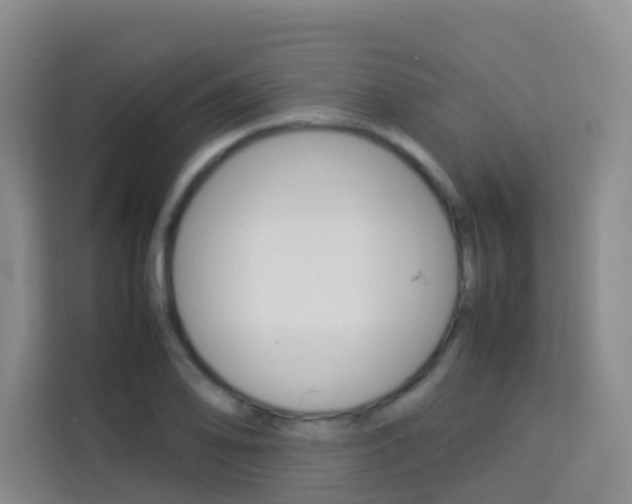 X0000114061078200910050951