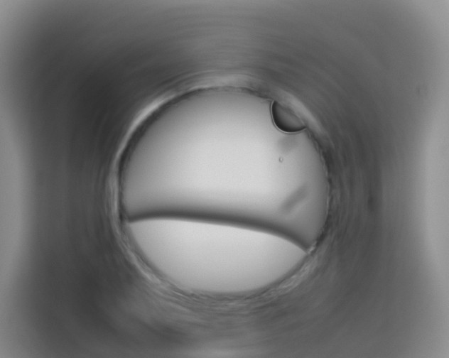 X0000114061079200910050951