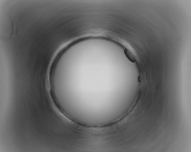 X0000114061080200910050951
