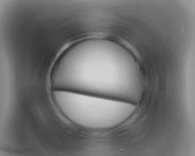 X0000114061083200910050951