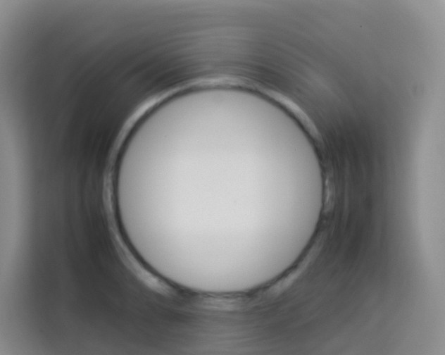 X0000114061086200910050950