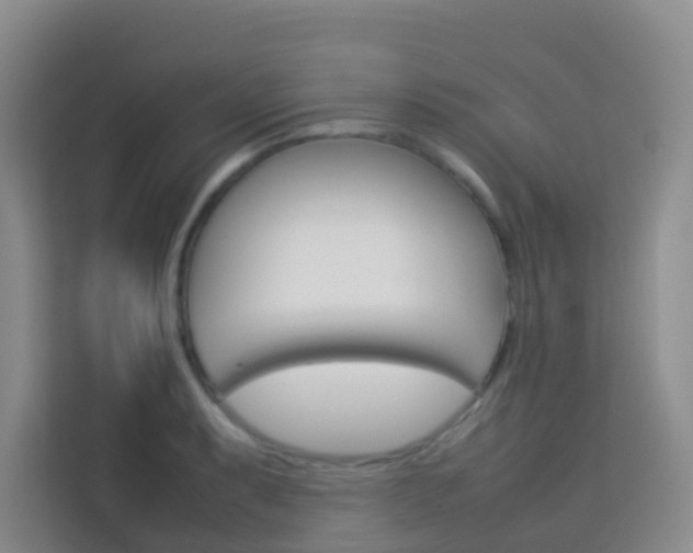 X0000114061087200910050950