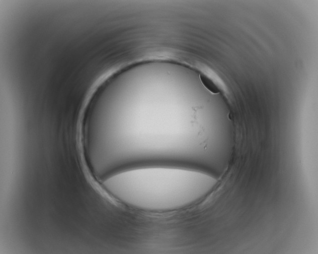 X0000114061088200910050950