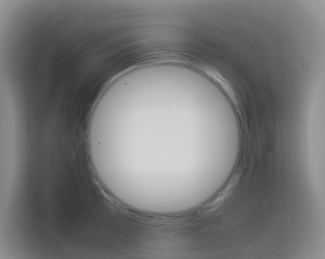 X0000114061089200910050950