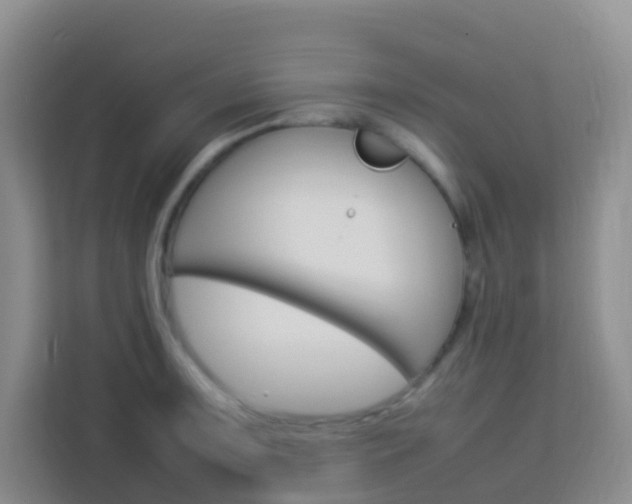 X0000114061091200910050950