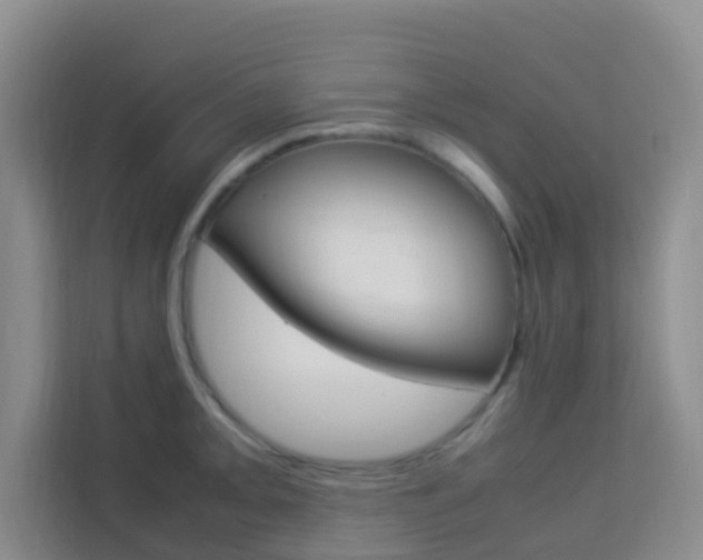 X0000114061093200910050950