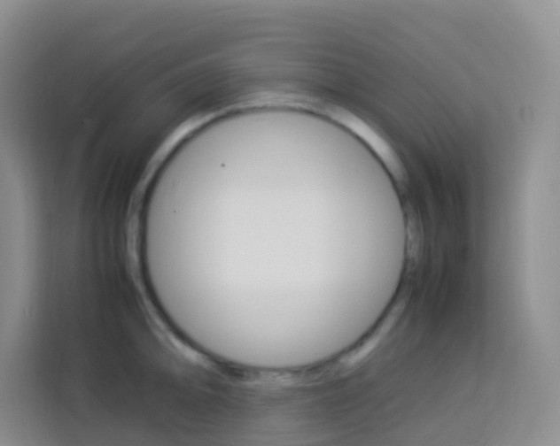 X0000114061094200910050950