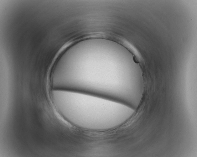 X0000114061095200910050950