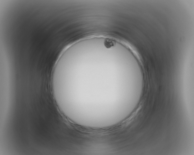 X0000114061097200910050950