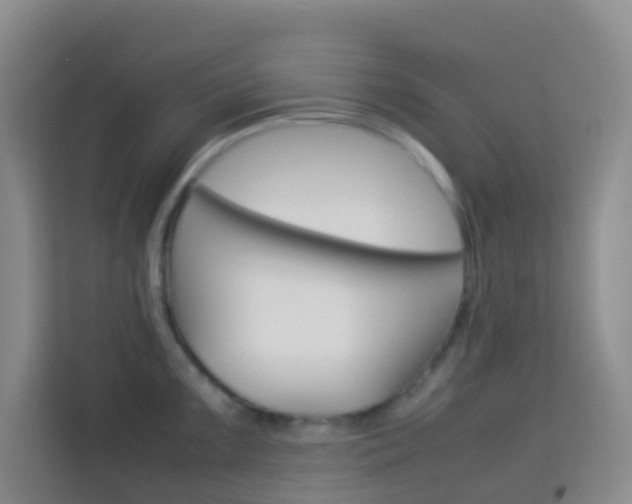 X0000114061099200910050950