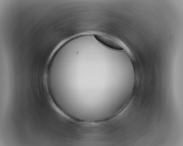 X0000114061100200910050950