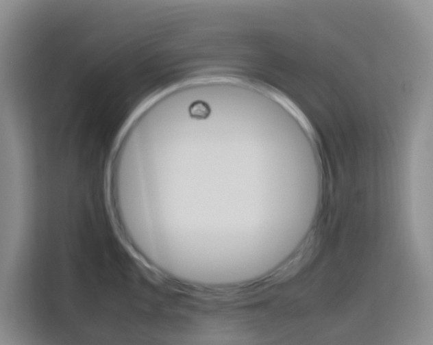 X0000114061101200910050950