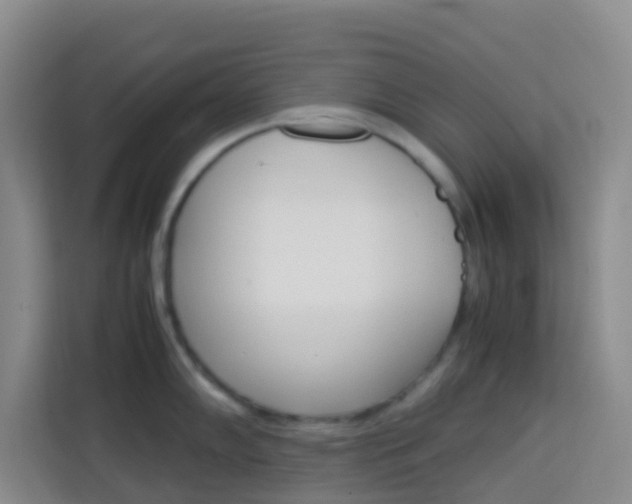X0000114061102200910050950