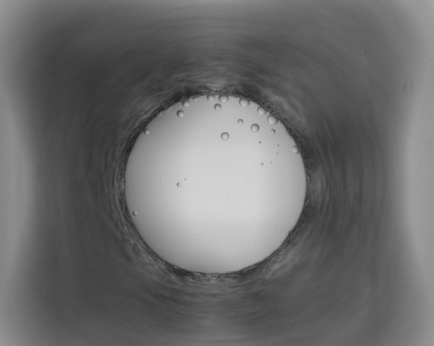 X0000114061105200910050950