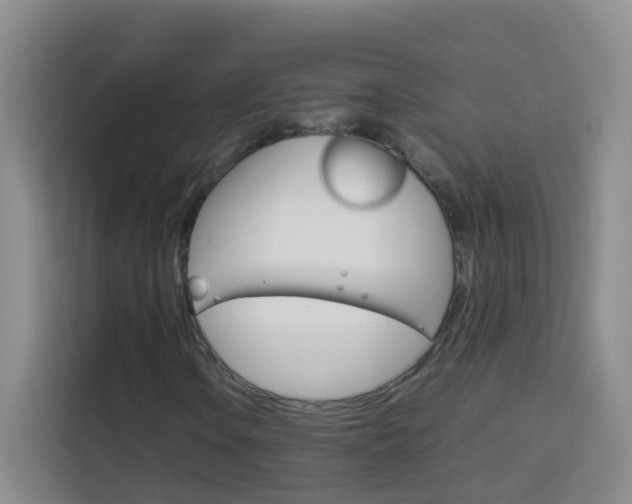 X0000114061106200910050950