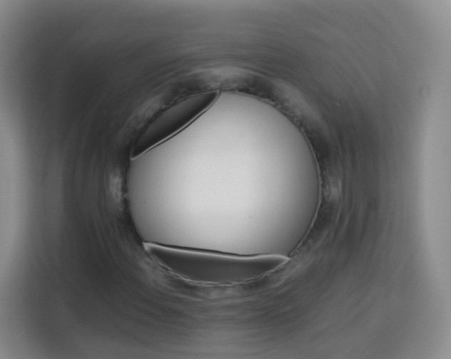 X0000114061108200910050950