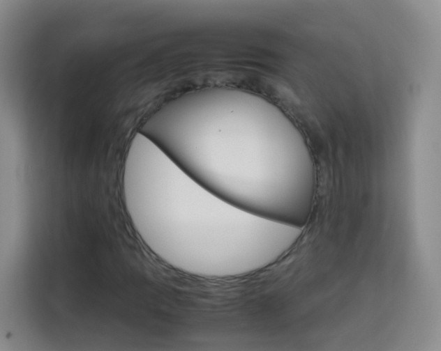 X0000114061109200910050950