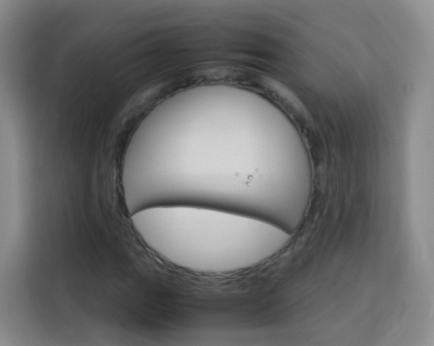 X0000114061111200910050950