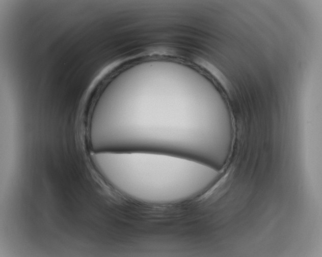X0000114061115200910050950