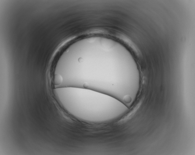 X0000114061117200910050950