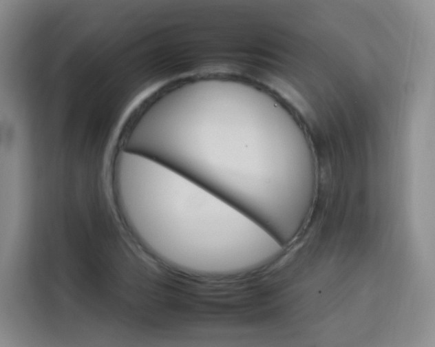 X0000114061119200910050950