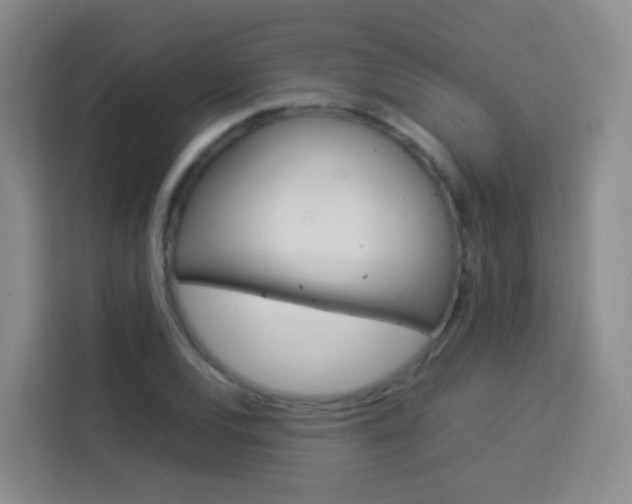 X0000114061120200910050950
