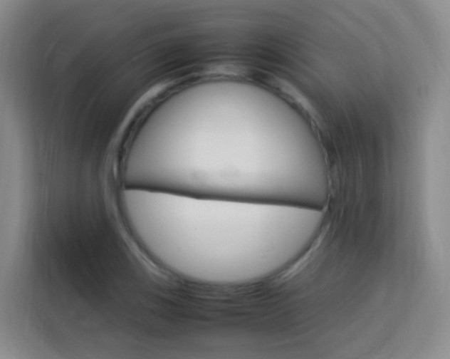X0000114061123200910050950