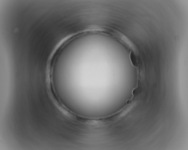 X0000114061124200910050950
