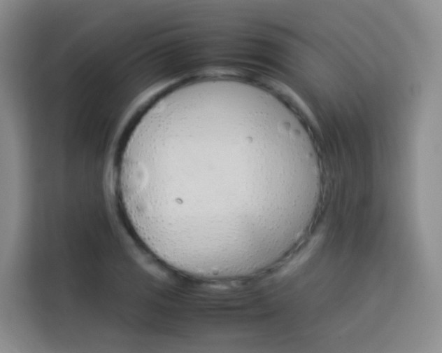 X0000114061125200910050950