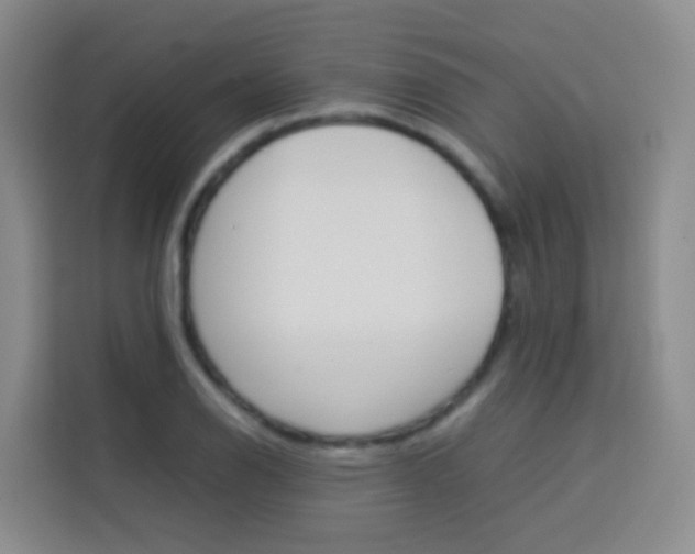 X0000114061126200910050950