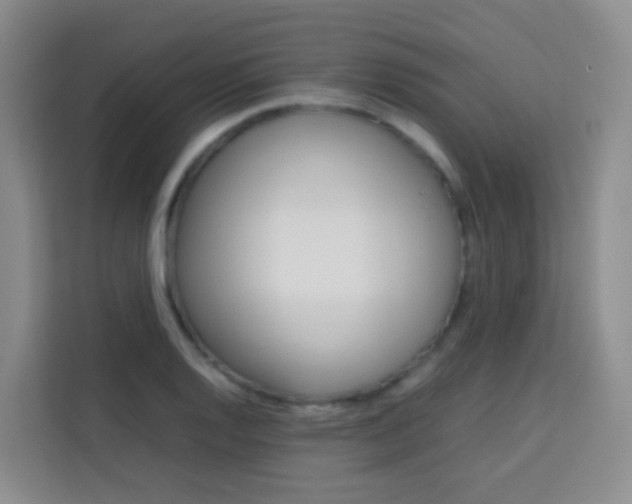 X0000114061128200910050950