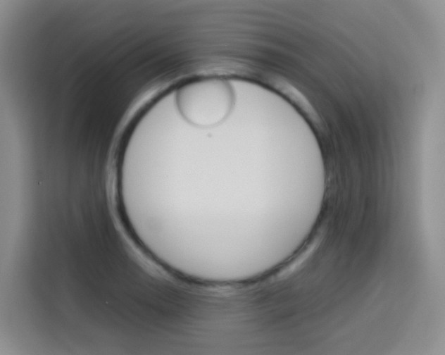 X0000114061130200910050950