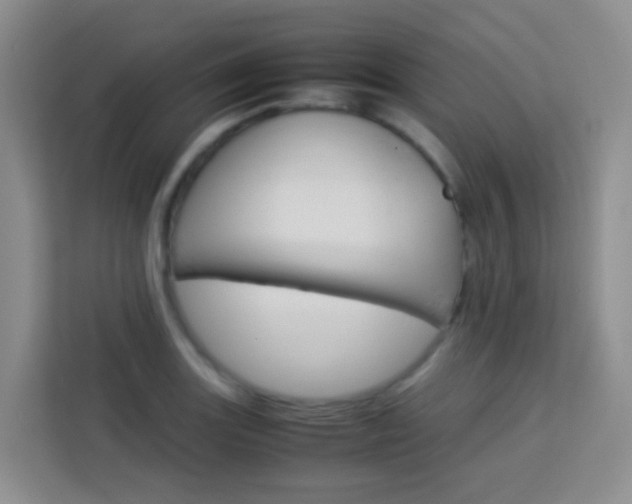 X0000114061131200910050950