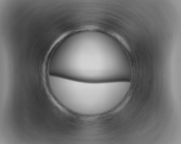 X0000114061134200910050950