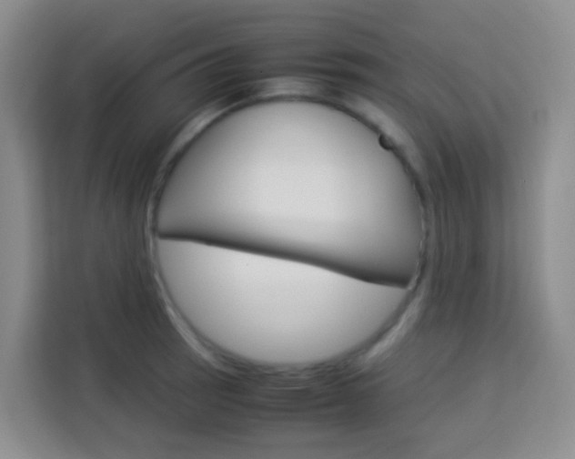 X0000114061137200910050950