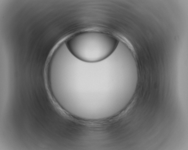 X0000114061138200910050950
