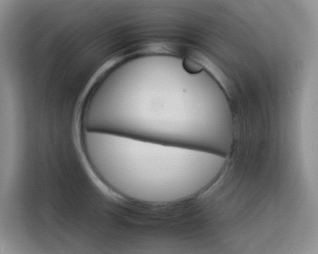 X0000114061139200910050950