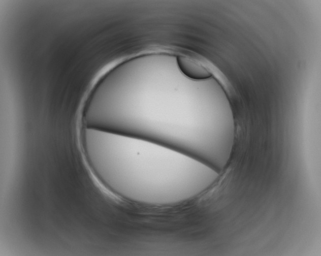X0000114061143200910050950