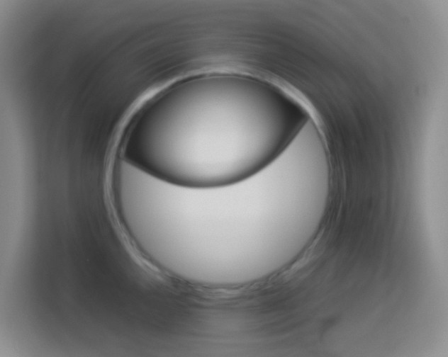 X0000114061144200910050950