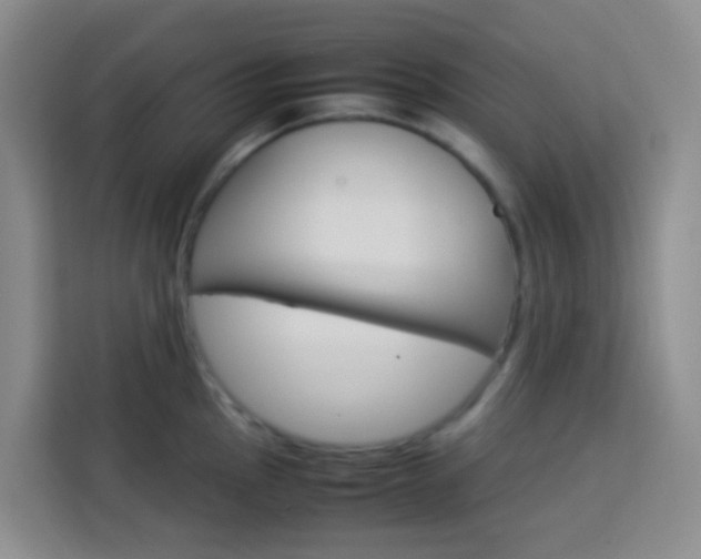 X0000114061145200910050950